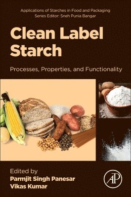 Parmjit Singh Panesar, Vikas Kumar - Clean Label Starch, Häftad