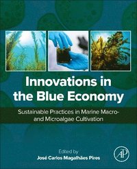 bokomslag Innovations in the Blue Economy