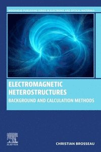 bokomslag Electromagnetic Heterostructures