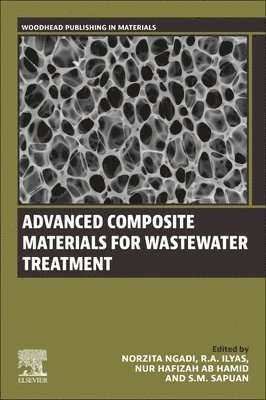 bokomslag Advanced Composite Materials for Wastewater Treatment