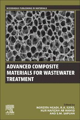 Norzita Ngadi, R.A. Ilyas, Nur Hafizah Ab Hamid, S.M. Sapuan, R. a. Ilyas, R A Ilyas, S M Sapuan - Advanced Composite Materials for Wastewater Treatment, Häftad