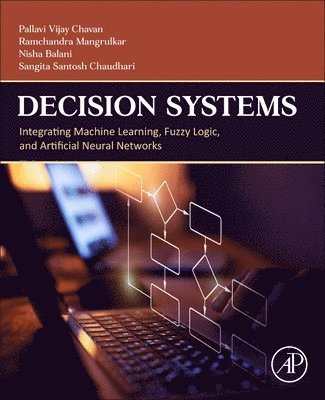 bokomslag Decision Systems