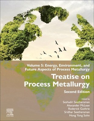 bokomslag Treatise on Process Metallurgy