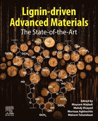 Meysam Madadi, Mahdy Elsayed, Mortaza Aghbashlo, Meisam Tabatabaei - Lignin-driven Advanced Materials, Häftad