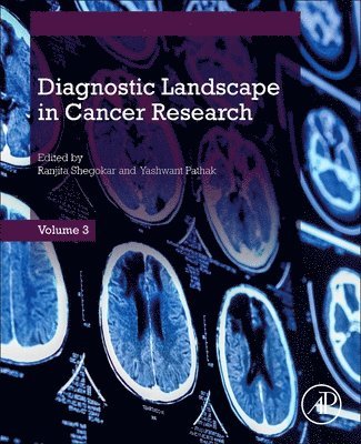 bokomslag Diagnostic Landscape in Cancer  Research