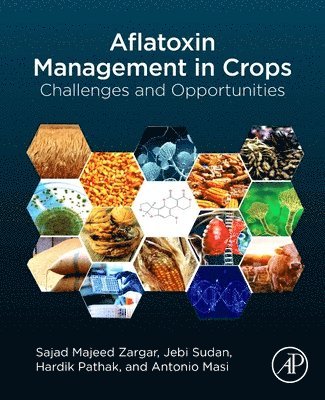 Sajad Majeed Zargar, Jebi Sudan, Hardik Pathak, Antonio Masi - Aflatoxin Management in Crops, Häftad