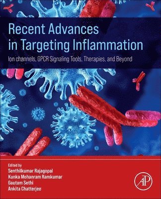 Senthilkumar Rajagopal, Kunka Mohanram Ramkumar, Gautam Sethi, Ankita Chatterjee - Recent Advances in Targeting Inflammation, Häftad
