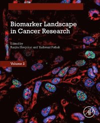 bokomslag Biomarker Landscape in Cancer Research