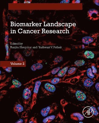 bokomslag Biomarker Landscape in Cancer Research