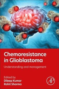 bokomslag Chemoresistance in Glioblastoma