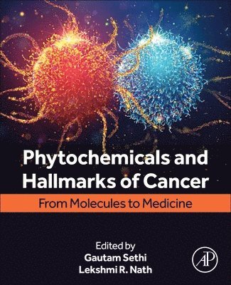 Gautam Sethi, Lekshmi R. Nath - Phytochemicals and Hallmarks of Cancer, Häftad
