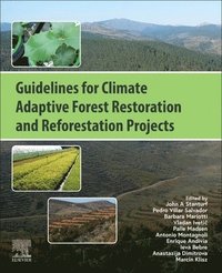 bokomslag Guidelines for Climate Adaptive Forest Restoration and Reforestation Projects
