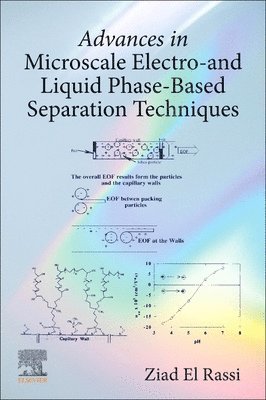bokomslag Advances in Microscale Electro- and Liquid Phase-Based Separation Techniques