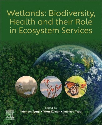 Inderjeet Tyagi, Vikas Kumar, Kaomud Tyagi - Wetlands: Biodiversity, Health and their Role in Ecosystem Services, Häftad