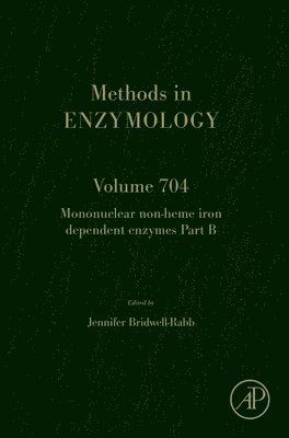 bokomslag Mononuclear Non-heme Iron Dependent Enzymes Part B