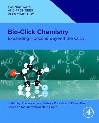 Flavia Zacconi, Parteek Prasher, Kamal Dua - Bio-Click Chemistry, Häftad