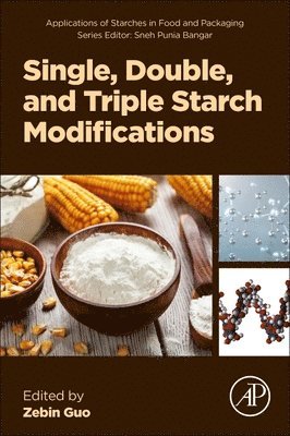 Zebin Guo - Single, Double, and Triple Starch Modifications, Häftad