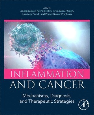 Anoop Kumar, Neeraj Mishra, Arun Kumar Singh, Ashutosh Pareek, Pranav Kumar Prabhakar - Inflammation and Cancer, Häftad