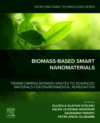 Olusola Olaitan Ayeleru, H.U. Modekwe, Sadanand Pandey, Peter Apata Olubambi - Biomass-Based Smart Nanomaterials, Häftad