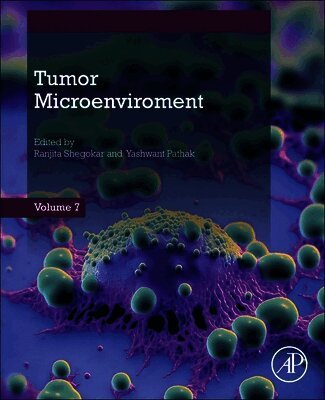 Ranjita Shegokar, Yashwant Pathak - Tumor Microenvironment, Häftad