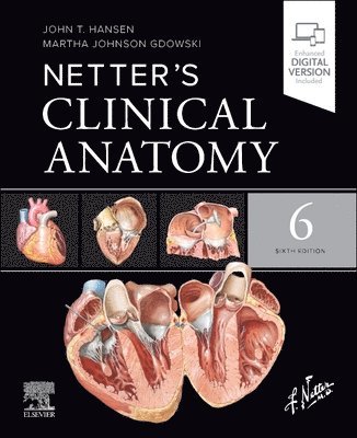 John T. Hansen, Martha Johnson Gdowski - Netter's Clinical Anatomy, Häftad
