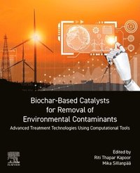 bokomslag Biochar-Based Catalysts for Removal of Environmental Contaminants