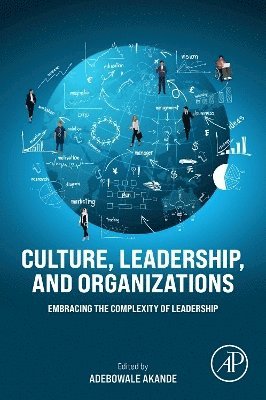 Adebowale Akande - Culture, Leadership, and Organizations, Häftad