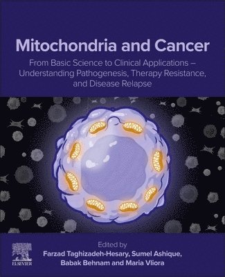 Farzad Taghizadeh-Hesary, Sumel Ashique, Babak Behnam, Maria Vliora - Mitochondria and Cancer, Häftad