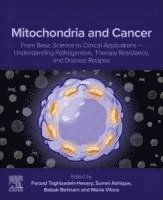 Mitochondria and Cancer: From Basic Science to Clinical Applications - Understanding Pathogenesis, Therapy Resistance, and Disease Relapse 1