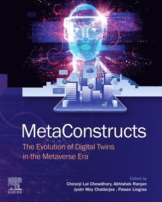 Chiranji Lal Chowdhary, Abhishek Ranjan, Jyotir Moy Chatterjee, Pawan Lingras - MetaConstructs, Häftad