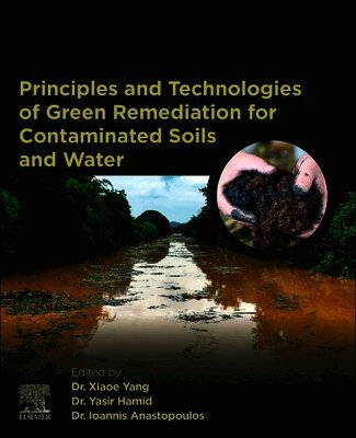 Xiaoe Yang, Yasir Hamid, Ioannis Anastopoulos - Principles and Technologies of Green Remediation for Contaminated Soils and Water, Häftad