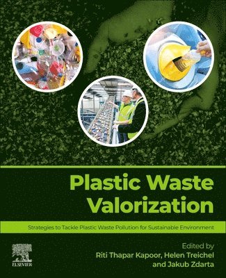Riti Thapar Kapoor, Helen Treichel, Jakub Zdarta - Plastic Waste Valorization, Häftad