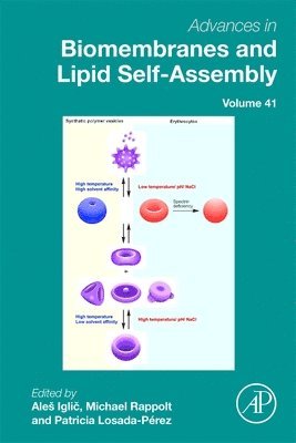 bokomslag Advances in Biomembranes and Lipid Self-Assembly