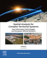 bokomslag Spatial Analysis for Complex Territorial Systems