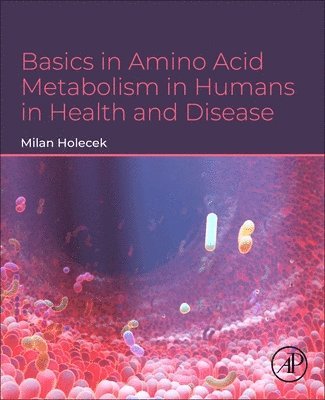 bokomslag Basics in Amino Acid Metabolism in Humans in Health and Disease