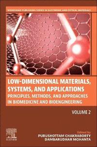 bokomslag Low-Dimensional Materials, Systems, and Applications, Volume 2