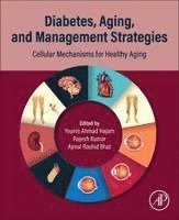 Younis Ahmad Hajam, Rajesh Kumar, Ajmal Rashid Bhat - Diabetes, Aging, and Management Strategies, Häftad