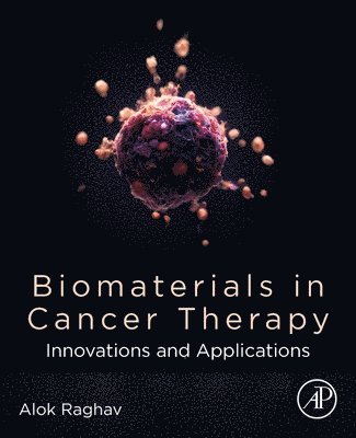 Alok Raghav - Biomaterials in Cancer Therapy, Häftad