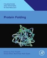 Timir Tripathi - Protein Folding, Häftad