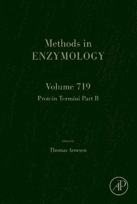 bokomslag Protein Termini Part B