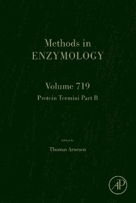 bokomslag Protein Termini Part B