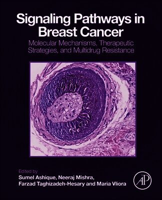 Sumel Ashique, Neeraj Mishra, Farzad Taghizadeh-Hesary, Maria Vliora - Signaling Pathways in Breast Cancer, Häftad