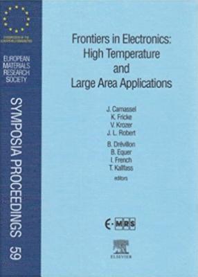 Bozzano G Luisa - Frontiers in Electronics: High Temperature and Large Area Applications, Inbunden