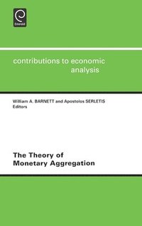 bokomslag The Theory of Monetary Aggregation