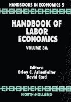 bokomslag Handbook of Labour Economics (Volume 3A)