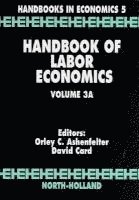 bokomslag Handbook of Labor Economics