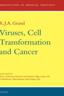 bokomslag Viruses, Cell Transformation, and Cancer