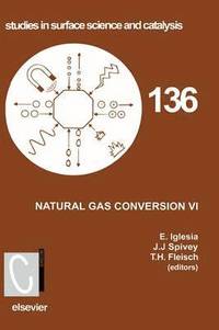 bokomslag Natural Gas Conversion VI