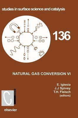 Natural Gas Conversion VI 1