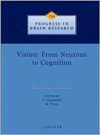 bokomslag Vision: From Neurons to Cognition